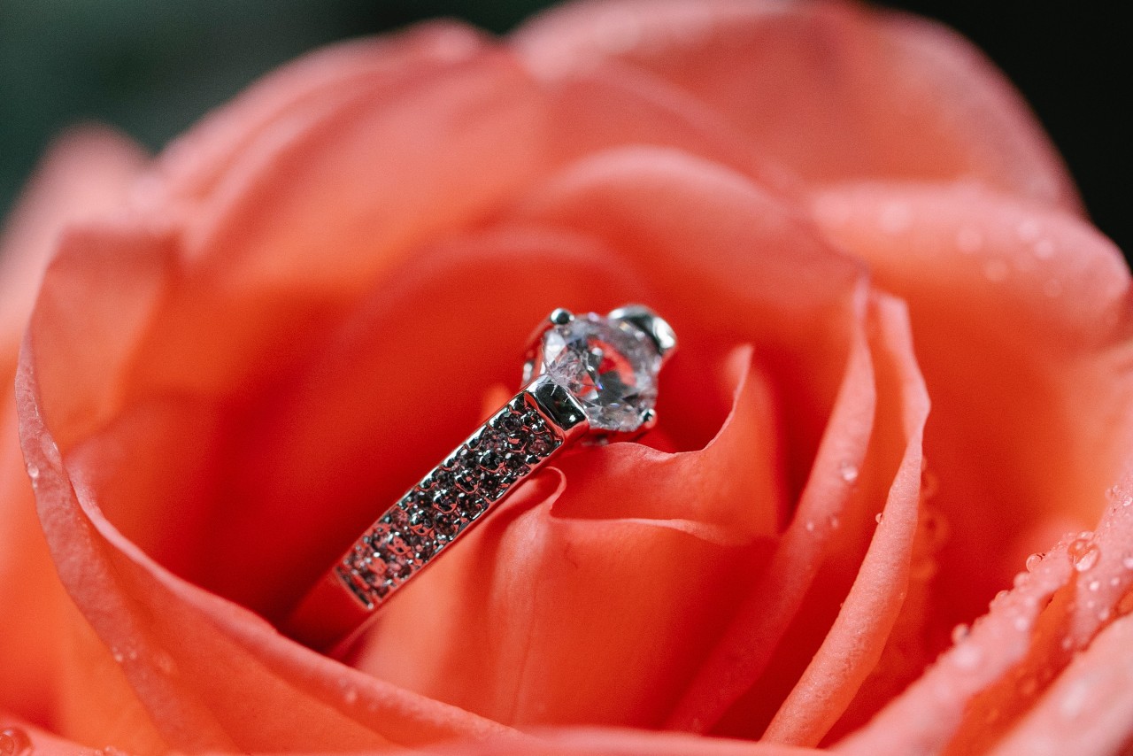 A small engagement ring sits in a pink rose with morning dew.