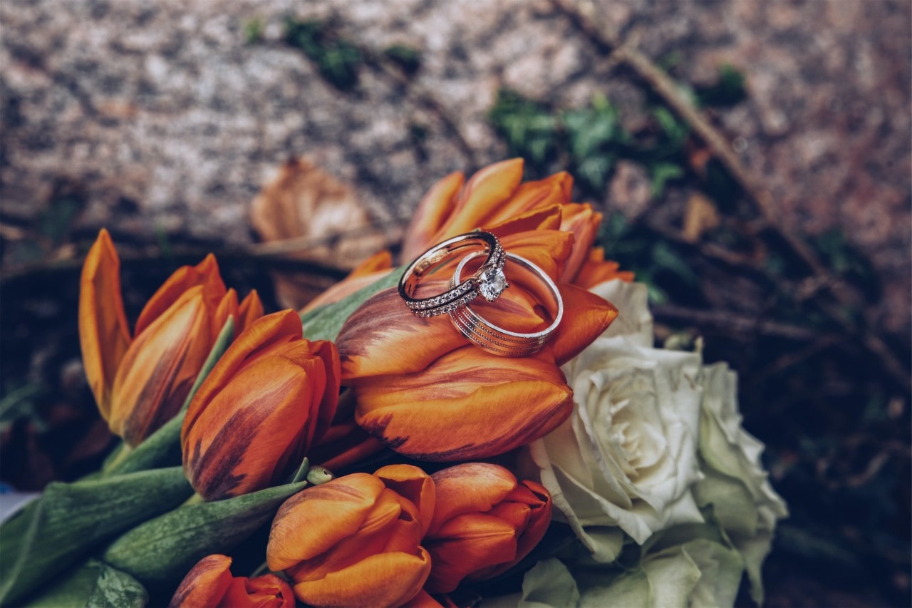 An engagement ring and wedding band sit on orange tulips.