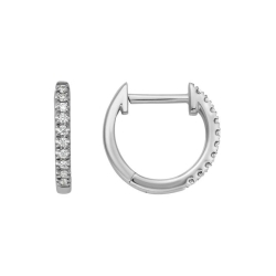 Earrings thumbnail 1