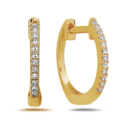 Earrings thumbnail 1