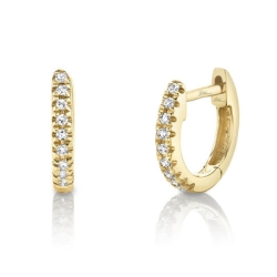 Shy Creation  Earring SC22004026V3