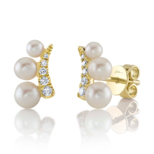 Shy Creation  Earring SC55025950