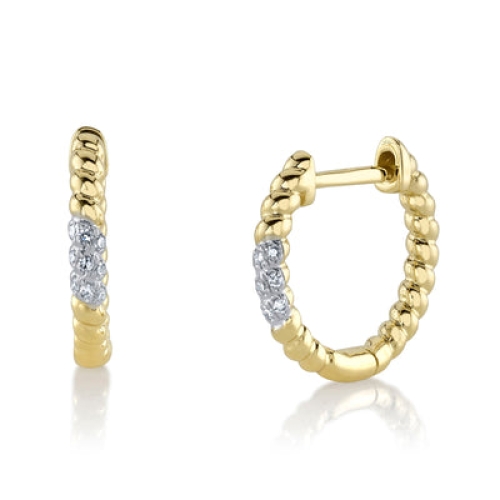 Shy Creation  Earring SC55025111RD