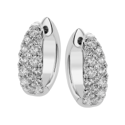 Earrings thumbnail 1