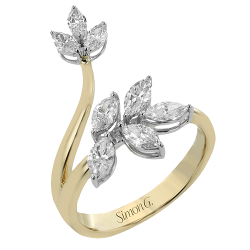 Fashion Ring thumbnail 1