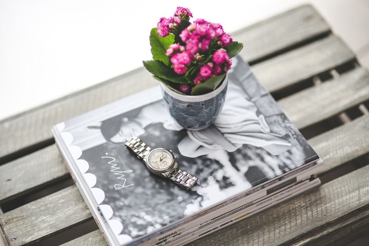 A flower pot and a platinum watch sits on a photo album on a bench. A flower pot and a platinum watch sits on a photo album on a bench.